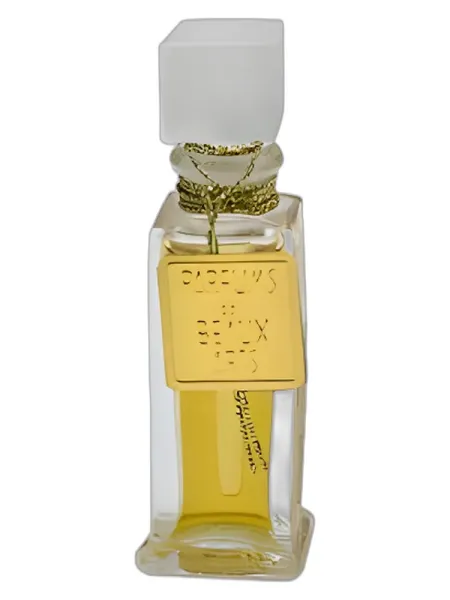 Frasco del perfume DSH Perfumes Passport a Paris unisex