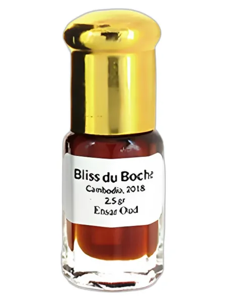 Frasco del perfume Ensar Oud Bliss du Boche Oud unisex