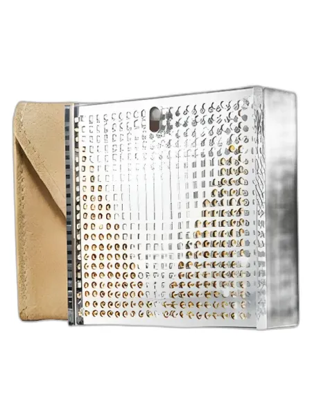 Frasco del perfume Michael Kors Chic