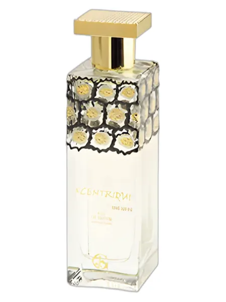 Frasco del perfume Paolo Gigli Excentrique pour Homme Eau de Parfum