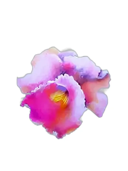 Frasco del perfume Sauzé Contrepoint Sauze