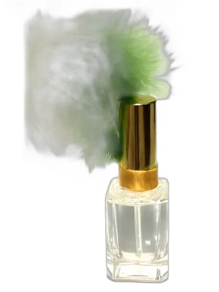 Frasco del perfume Schlossparfumerie La Vida Loca WM Edition Brasil Eau de Parfum