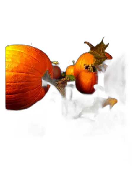 Frasco del perfume Solstice Scents Gunnerson's Pumpkin Patch unisex
