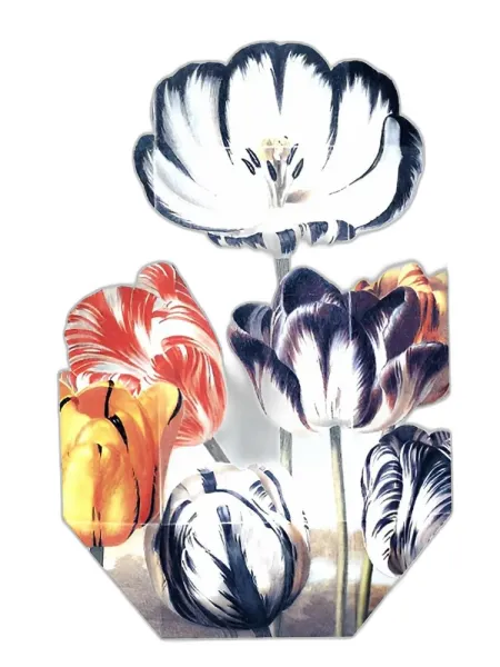 Frasco del perfume Stella McCartney Print Collection Stella 02 2011