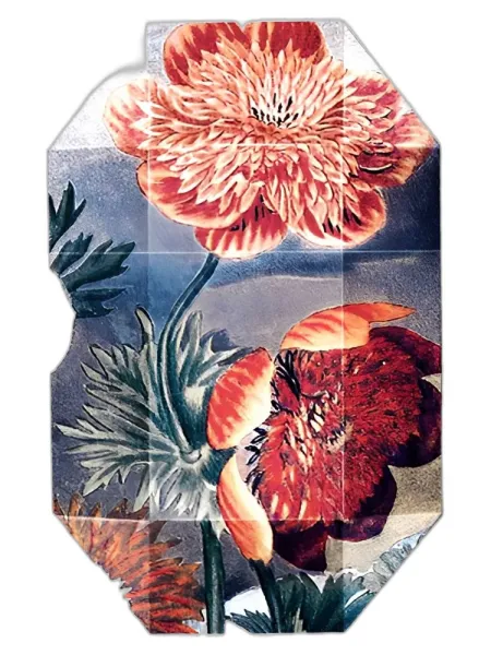 Frasco del perfume Stella McCartney Print Collection Stella 03 2011