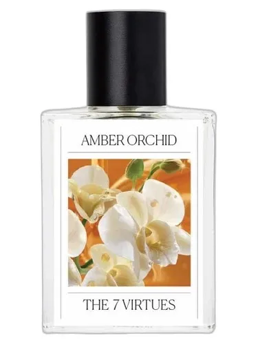 Frasco del perfume The 7 Virtues Amber Orchid 2026