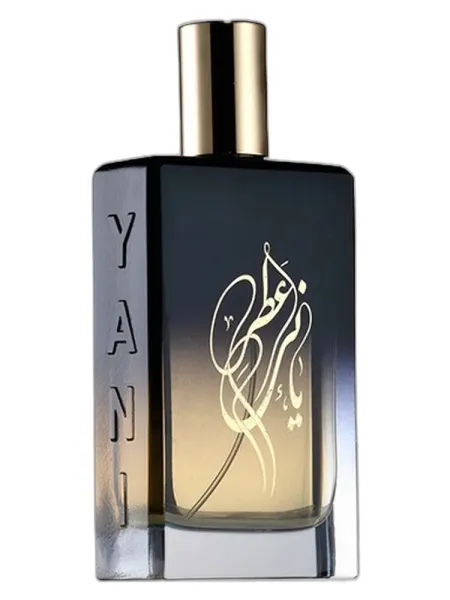 Frasco del perfume YANI Silver Beach unisex